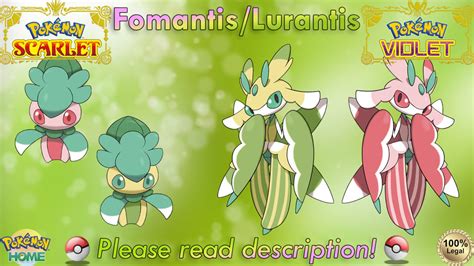 fomantis shiny|shiny fomantis evolution.